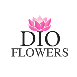 Цветы и растения оптом в Чита