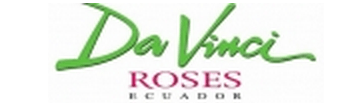 Плантации роз Эквадора