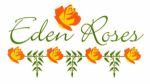 Плантации роз Эквадора eden roses