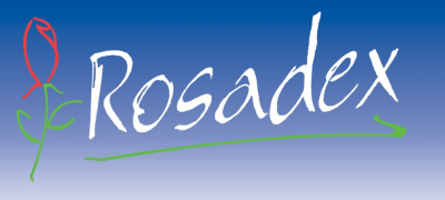 rosadex Плантации роз Эквадора