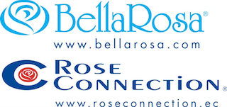 bellarosa Плантации роз Эквадора