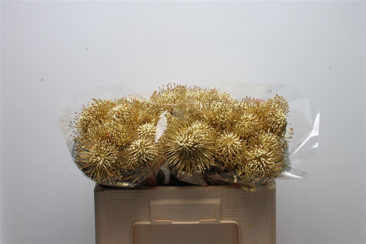 Срезанные цветы оптом Nutans paint gold от 30шт из Голландии с доставкой по России