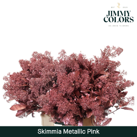 Срезанные цветы оптом Skimmia paint antique pink от 10шт из Голландии с доставкой по России