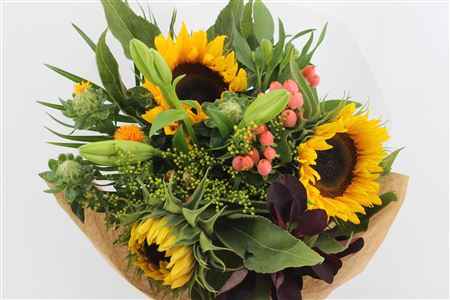 Срезанные цветы оптом Bouquet helianthus от 8шт из Голландии с доставкой по России