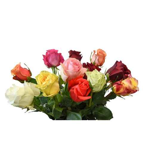 Срезанные цветы оптом Rosa ec mix rainbow (mixbunch) от 250шт из Голландии с доставкой по России