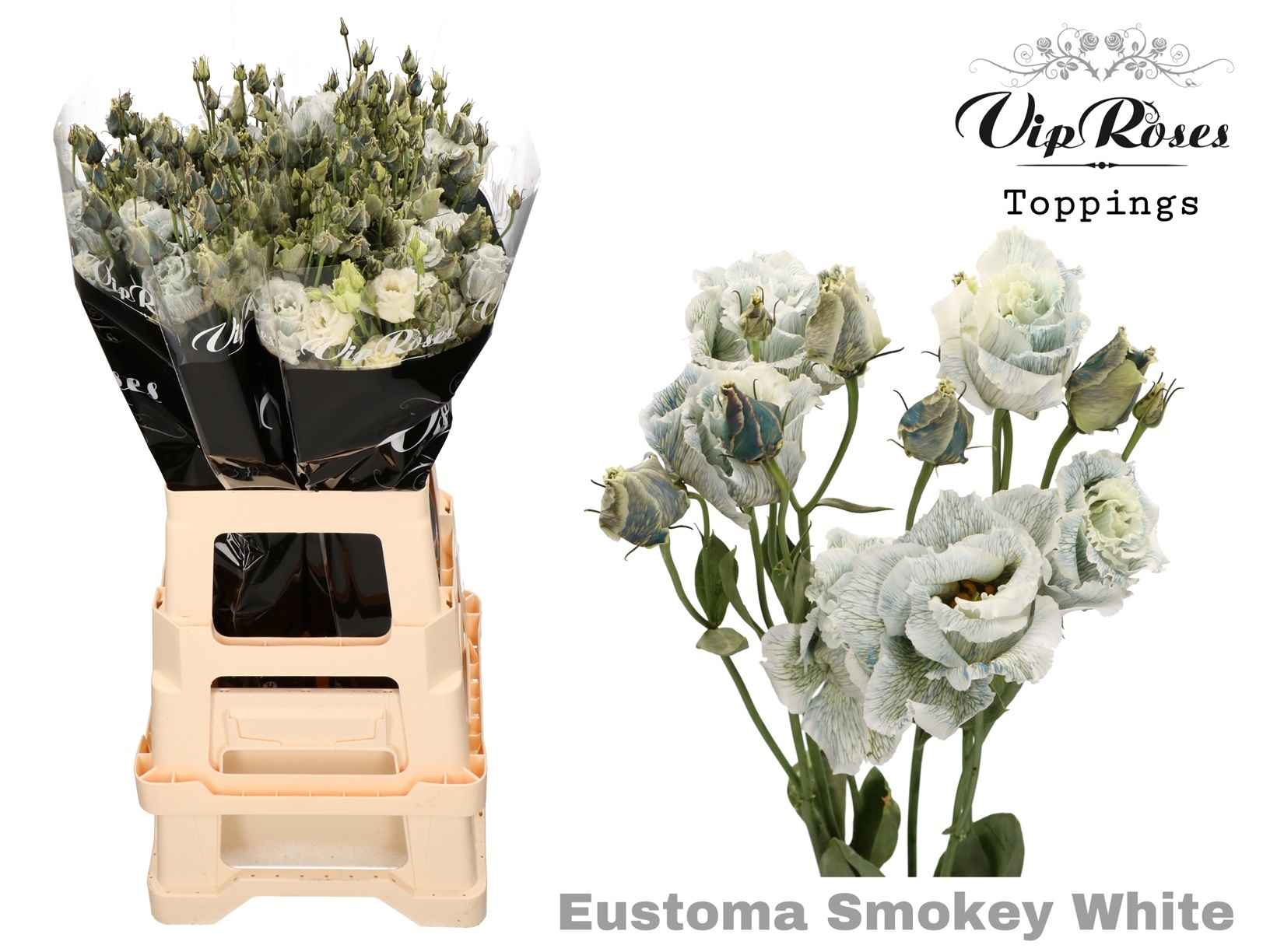 Срезанные цветы оптом Lisianthus do paint smokey white от 20шт из Голландии с доставкой по России