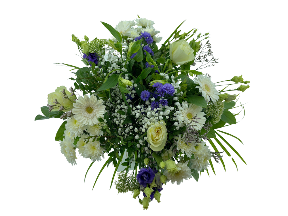 Срезанные цветы оптом Bouquet large white - blue от 1шт из Голландии с доставкой по России