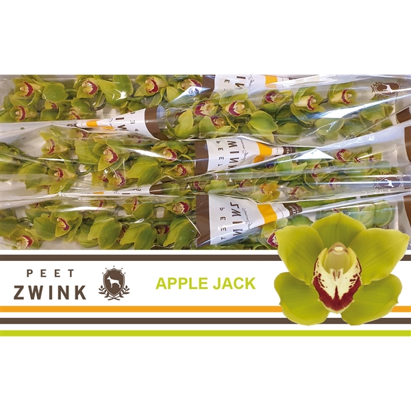 Срезанные цветы оптом Cymbidium green apple jack от 8шт. из Голландии с доставкой по России