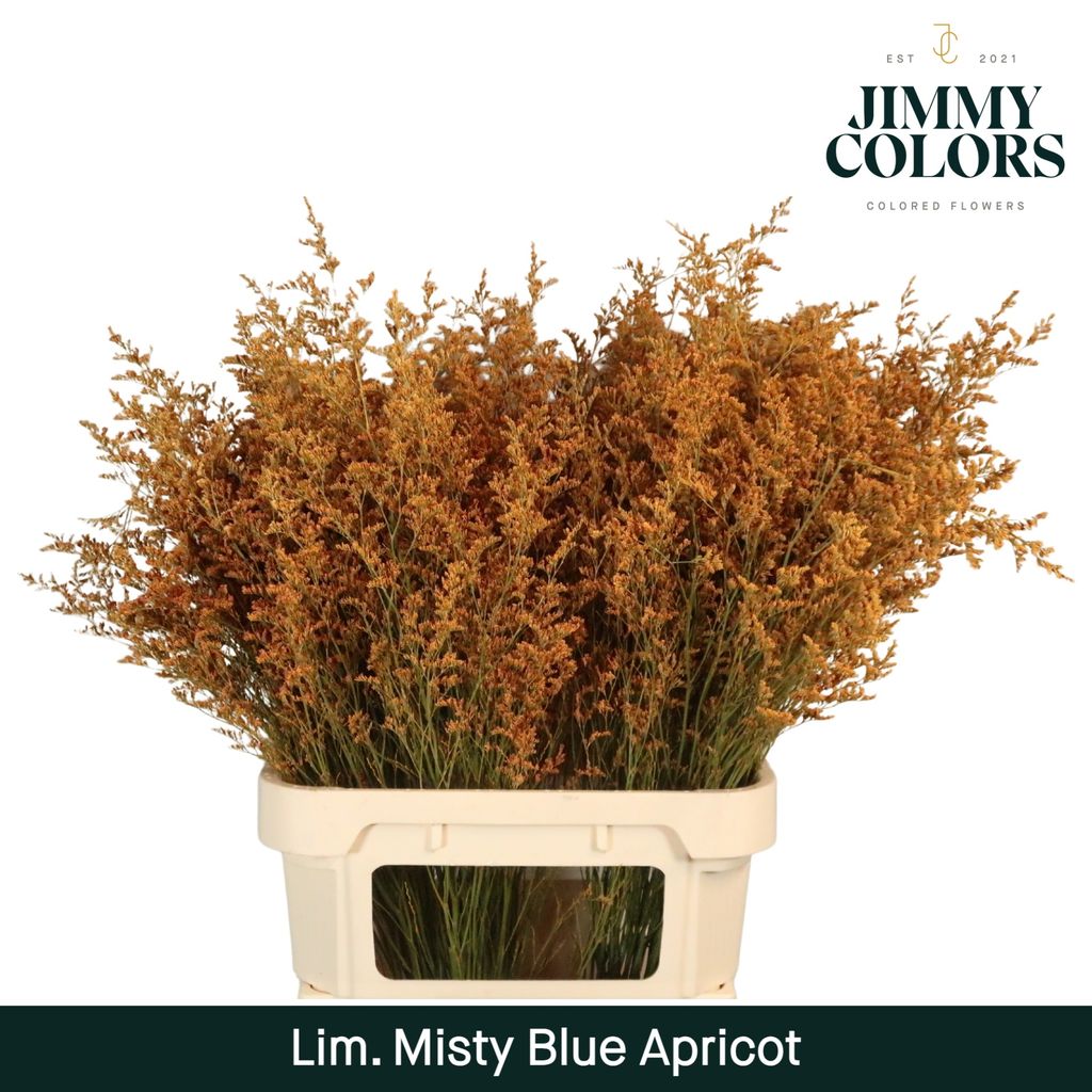 Срезанные цветы оптом Limonium misty blue paint apricot от 50шт из Голландии с доставкой по России