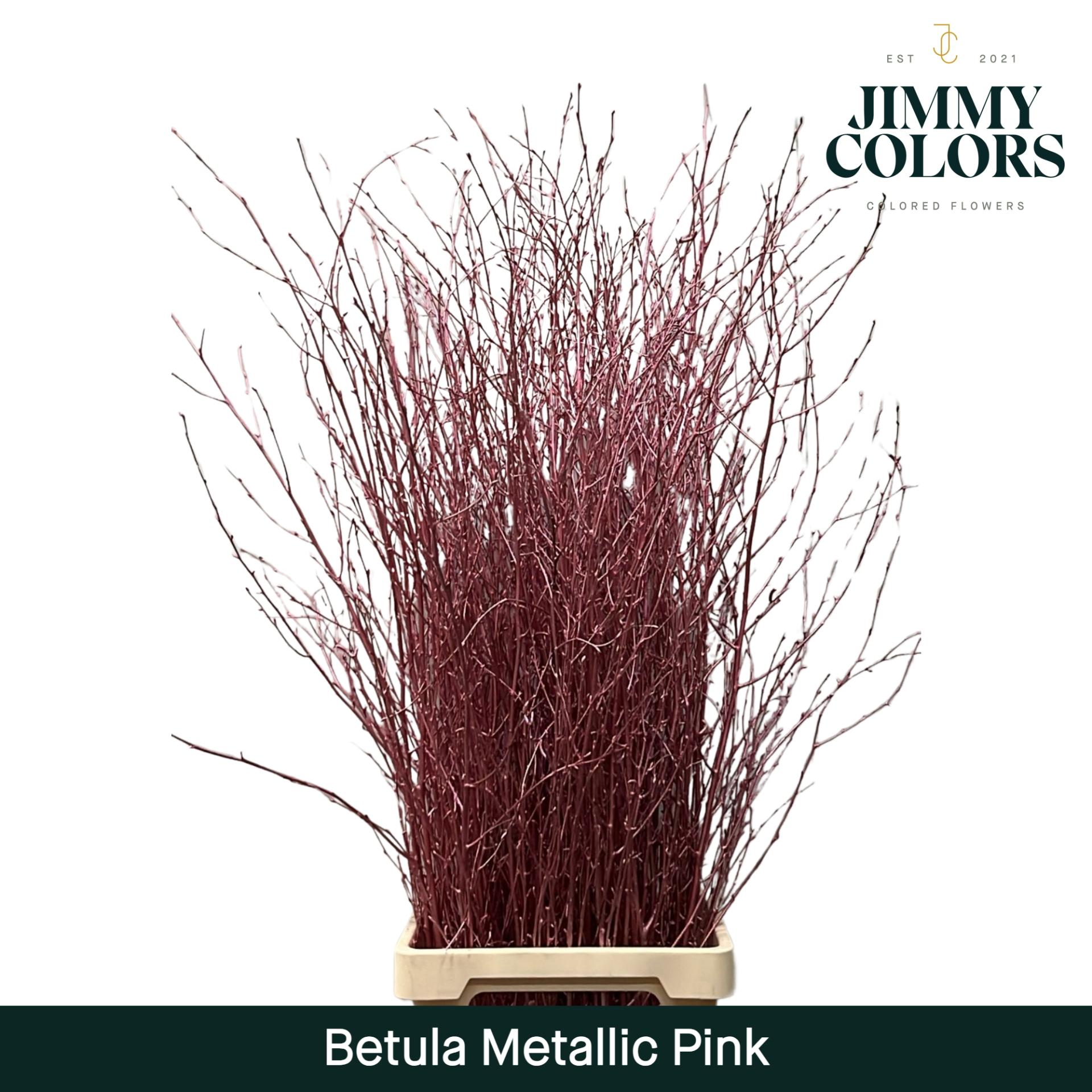 Срезанные цветы оптом Betula paint metallic pink от 10шт из Голландии с доставкой по России