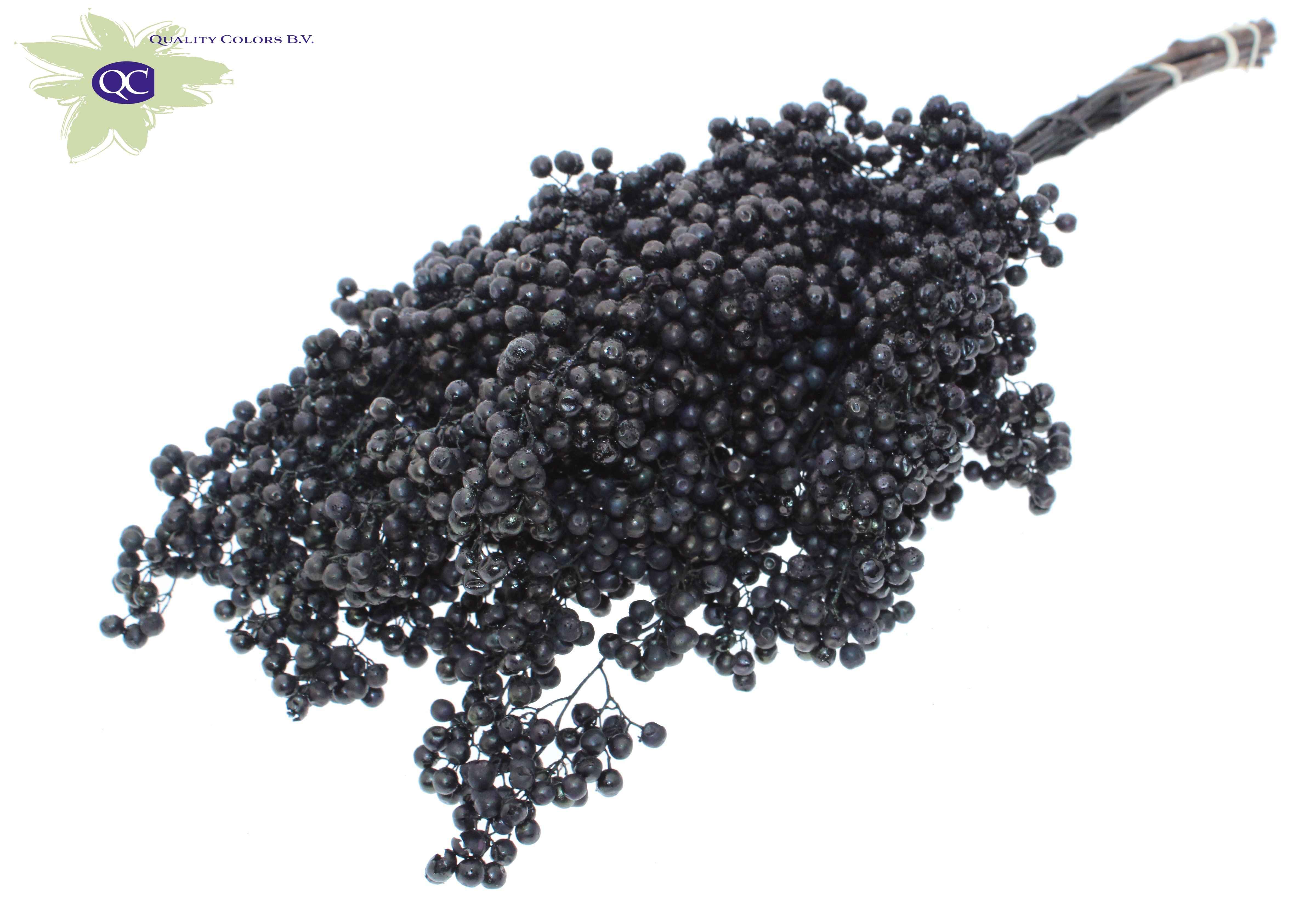 Срезанные цветы оптом Pepperberries per bunch in poly black + glitter от 5шт из Голландии с доставкой по России