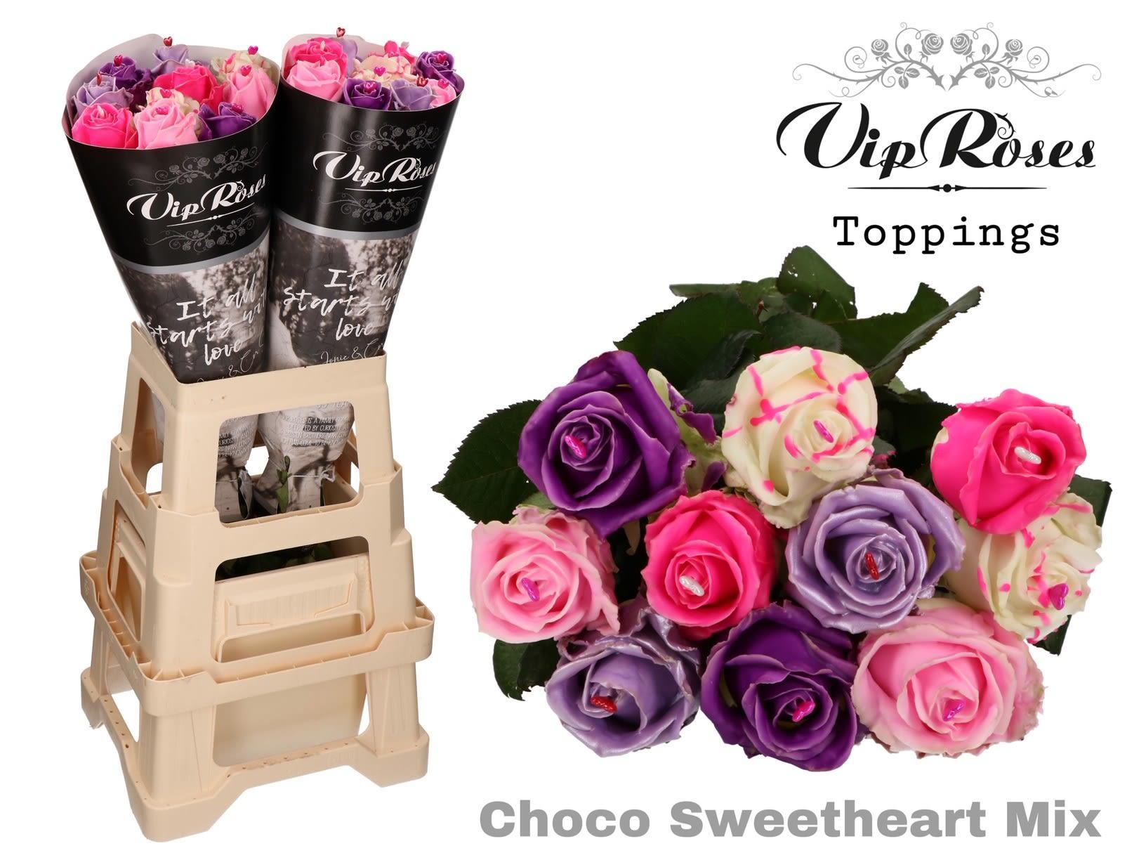 Срезанные цветы оптом Rosa large paint choco sweetheart mix от 20шт из Голландии с доставкой по России