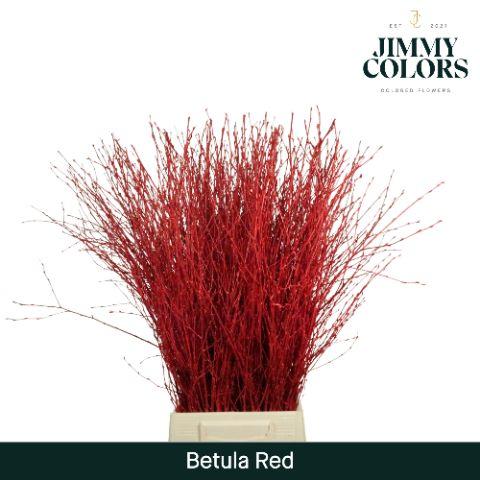 Срезанные цветы оптом Betula paint red от 10шт из Голландии с доставкой по России