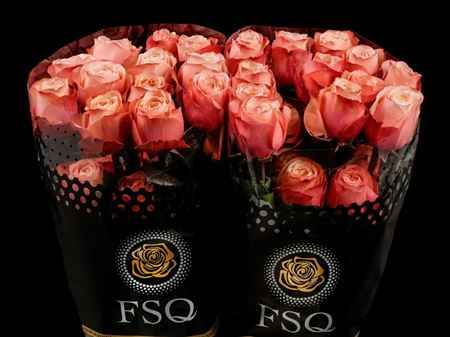 Срезанные цветы оптом Rosa ec kahala от 20шт из Голландии с доставкой по России