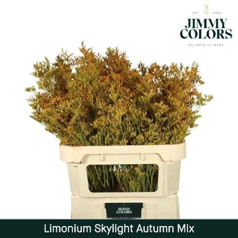 Срезанные цветы оптом Limonium skylight paint mix autumn от 75шт из Голландии с доставкой по России