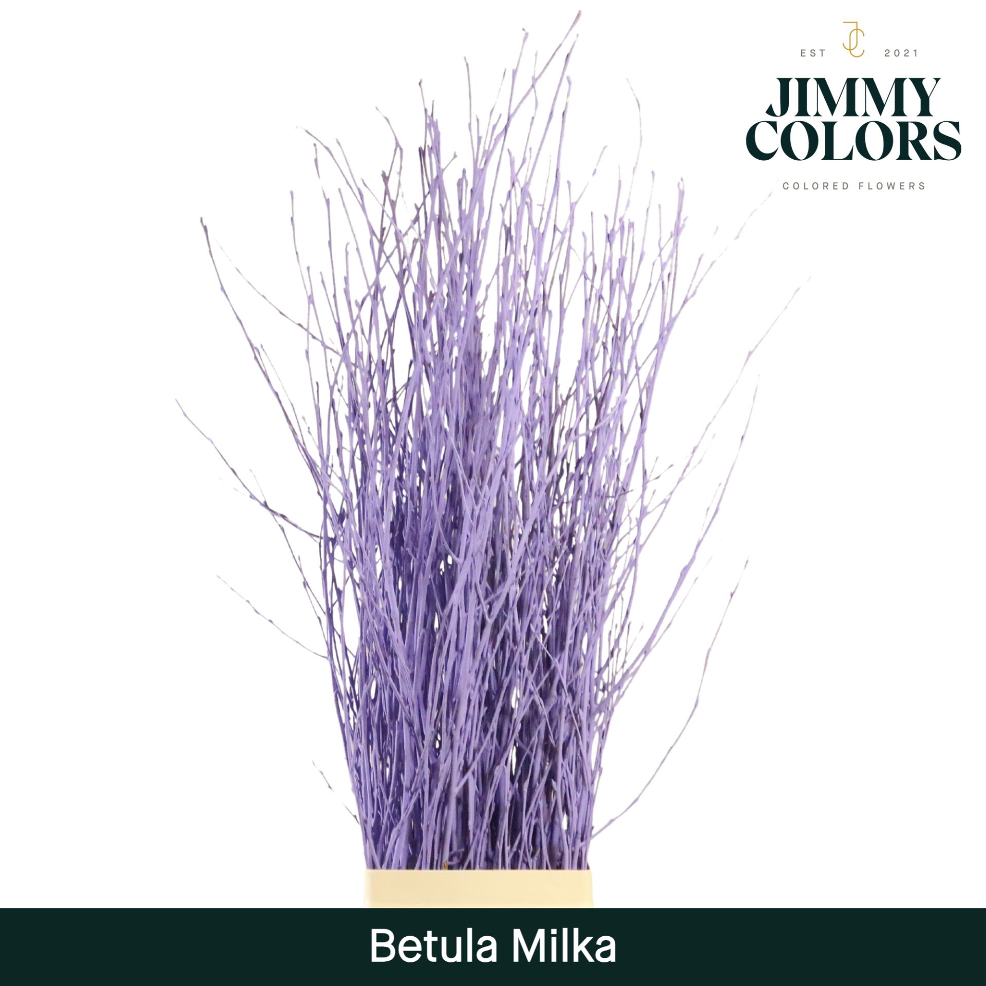 Срезанные цветы оптом Betula paint milka от 10шт из Голландии с доставкой по России