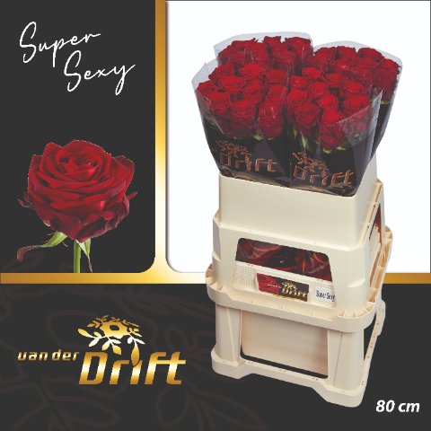 Срезанные цветы оптом Rosa large red naomi! Drift от 40шт. из Голландии с доставкой по России
