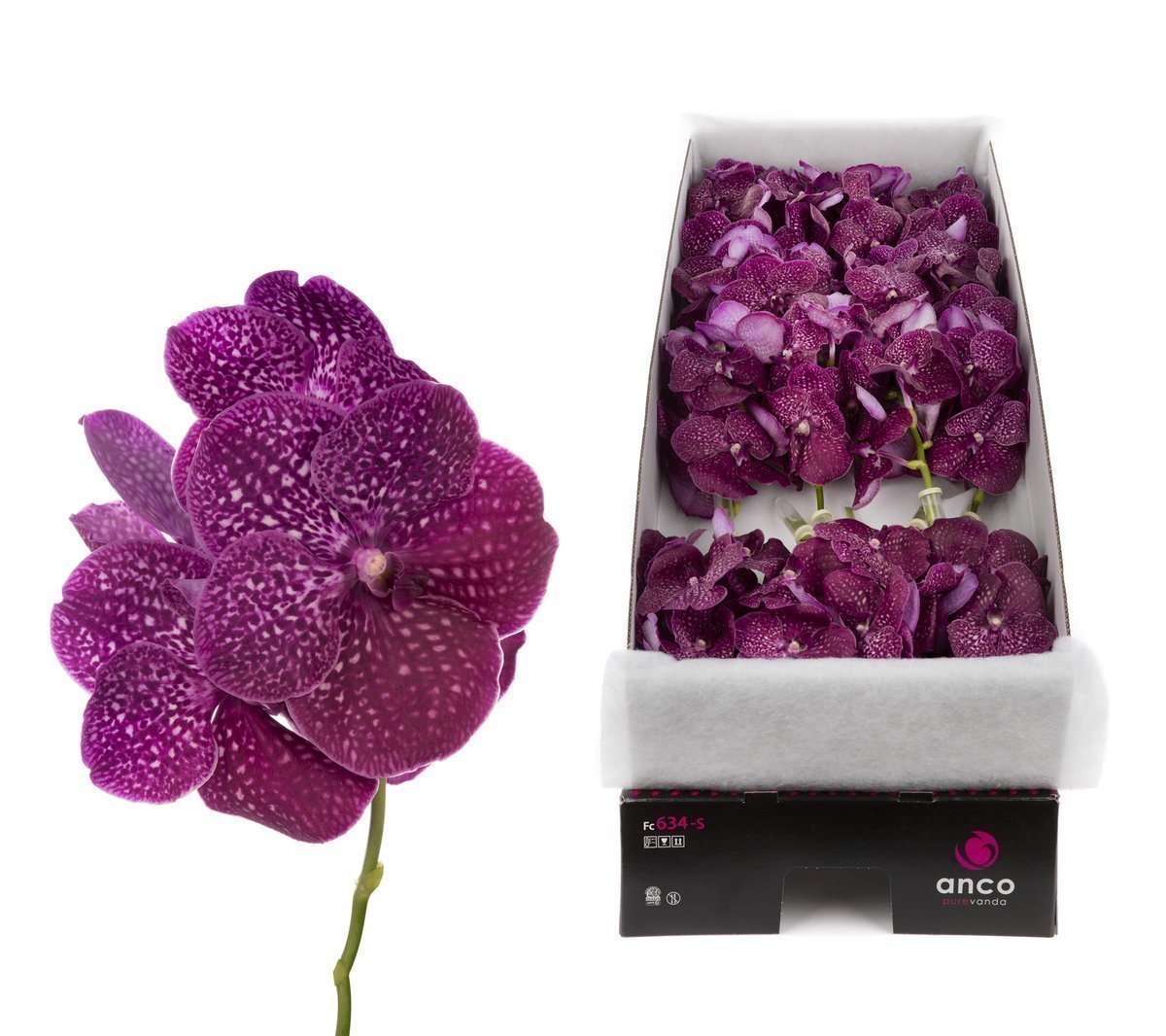 Срезанные цветы оптом Vanda nitaya crimson love от 8шт.. из Голландии с доставкой по России