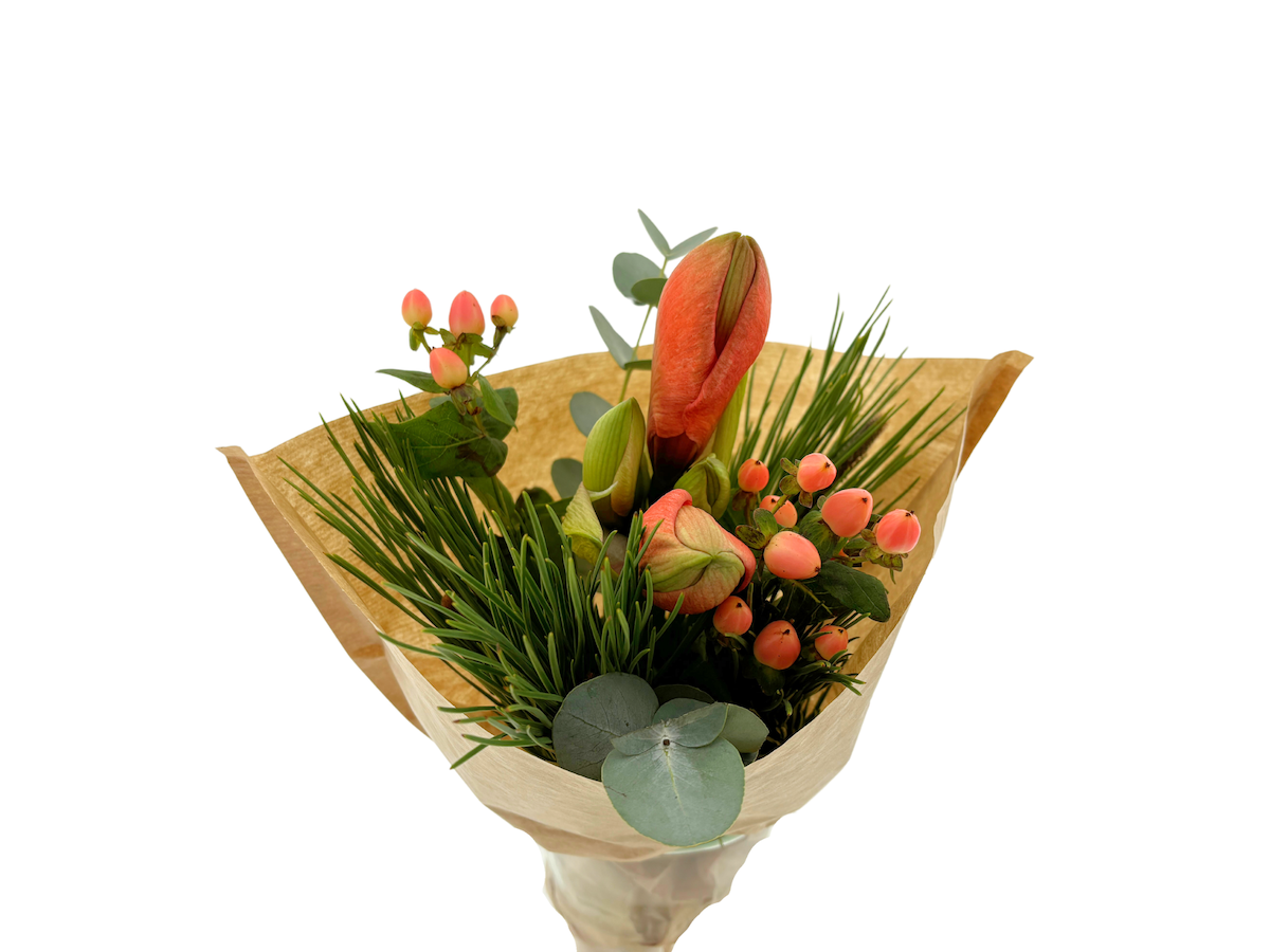 Срезанные цветы оптом BQ Casta Apricot от 8шт из Голландии с доставкой по России