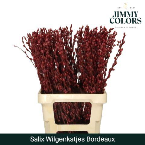Срезанные цветы оптом Salix paint pussy willow bordeaux от 50шт из Голландии с доставкой по России