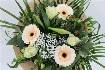 Срезанные цветы оптом Bouquet rosa spray salmon от 3шт из Голландии с доставкой по России