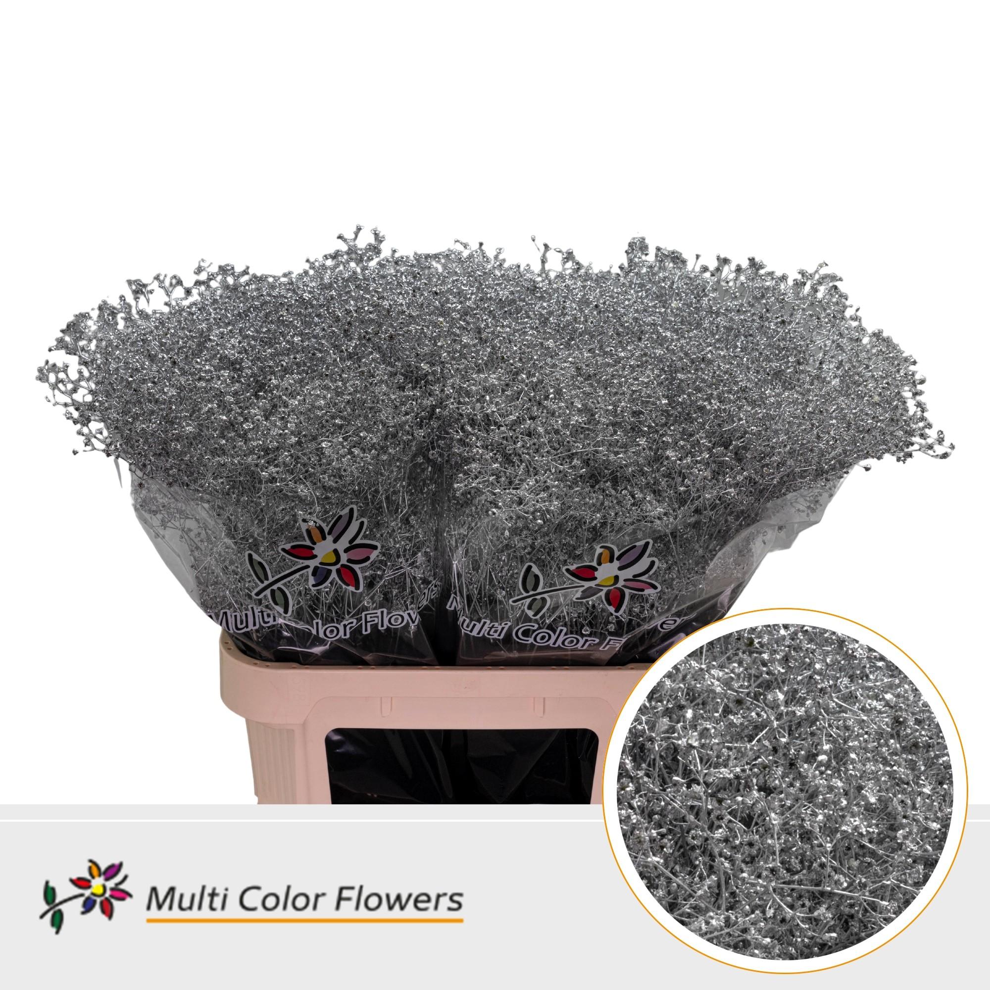 Срезанные цветы оптом Gyps fine paint silver от 50шт из Голландии с доставкой по России