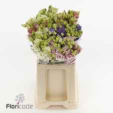Срезанные цветы оптом Lisianthus do alissa mix in bucket от 40шт. из Голландии с доставкой по России