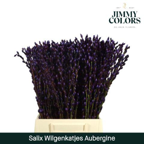 Срезанные цветы оптом Salix paint pussy willow aubergine от 300шт из Голландии с доставкой по России