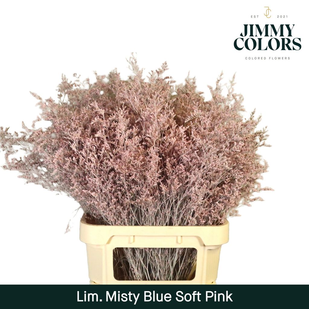 Срезанные цветы оптом Limonium misty blue paint soft pink от 50шт из Голландии с доставкой по России