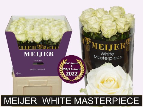 Срезанные цветы оптом Rosa large avalanche+ Meijer White Masterpiece от 40шт из Голландии с доставкой по России