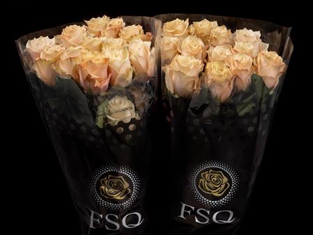 Срезанные цветы оптом Rosa ec champagner от 40шт из Голландии с доставкой по России