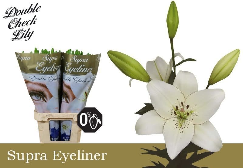 Срезанные цветы оптом Lilium la eyeliner от 50шт из Голландии с доставкой по России