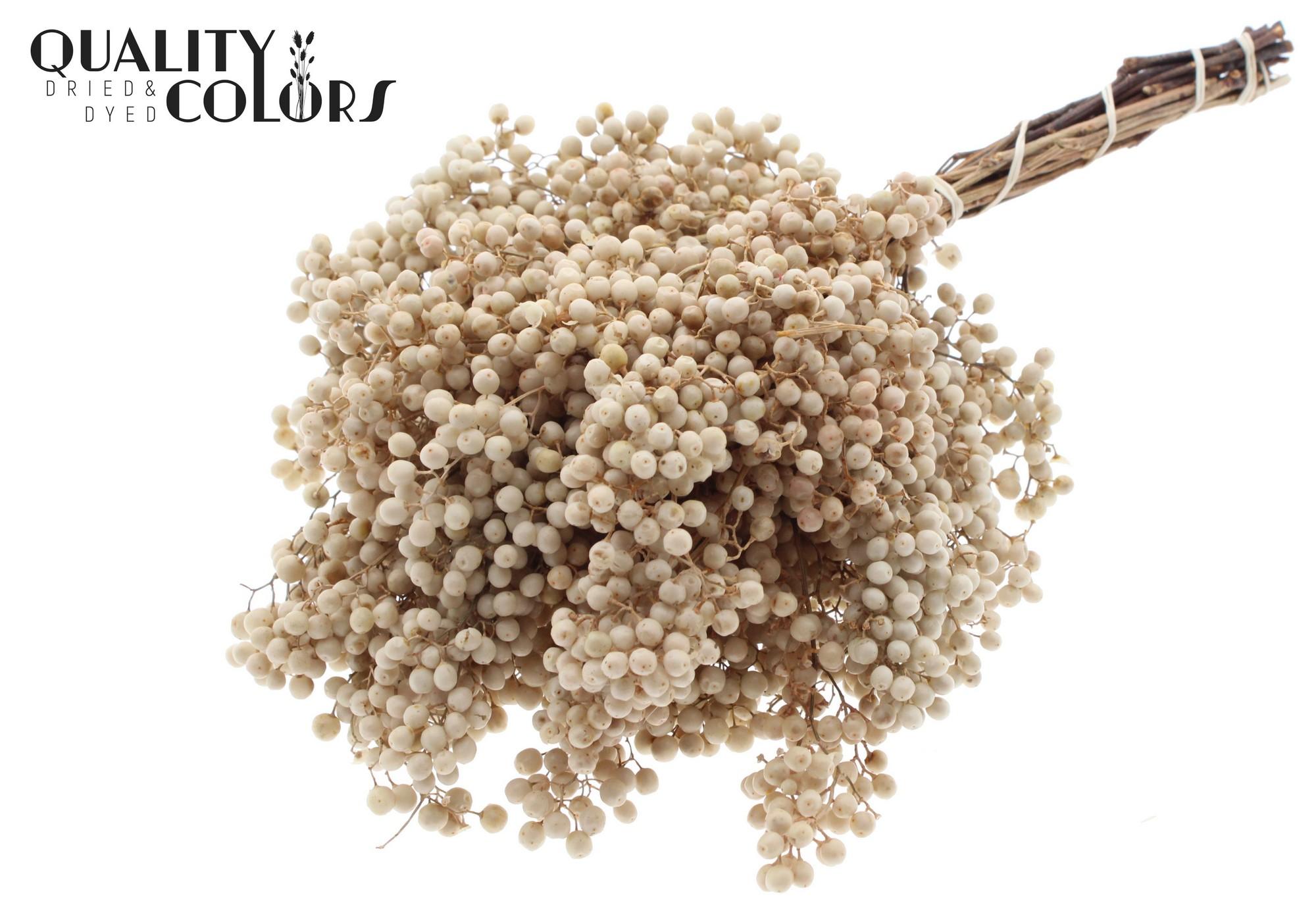 Срезанные цветы оптом Pepperberries per bunch in poly Bleached от 5шт из Голландии с доставкой по России