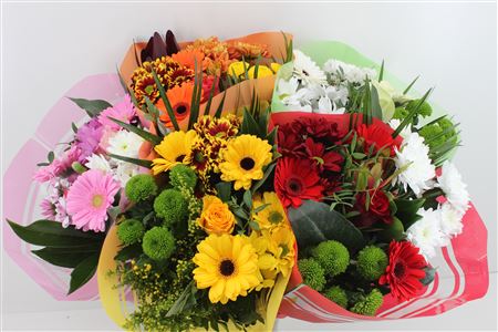 Срезанные цветы оптом Bouquet promo mix in bucket от 5шт из Голландии с доставкой по России