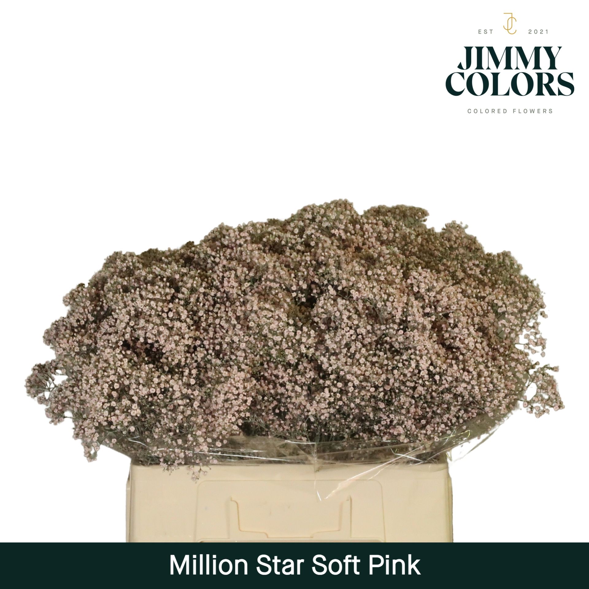 Срезанные цветы оптом Gyps fine paint pink light от 25шт из Голландии с доставкой по России