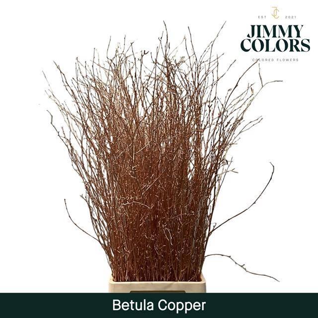 Срезанные цветы оптом Betula paint copper от 10шт. из Голландии с доставкой по России