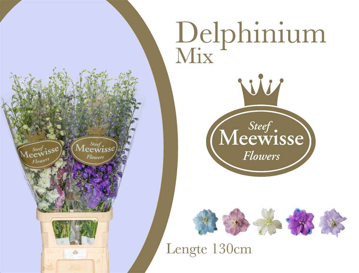 Срезанные цветы оптом Delphinium do mix in bucket от 30шт из Голландии с доставкой по России