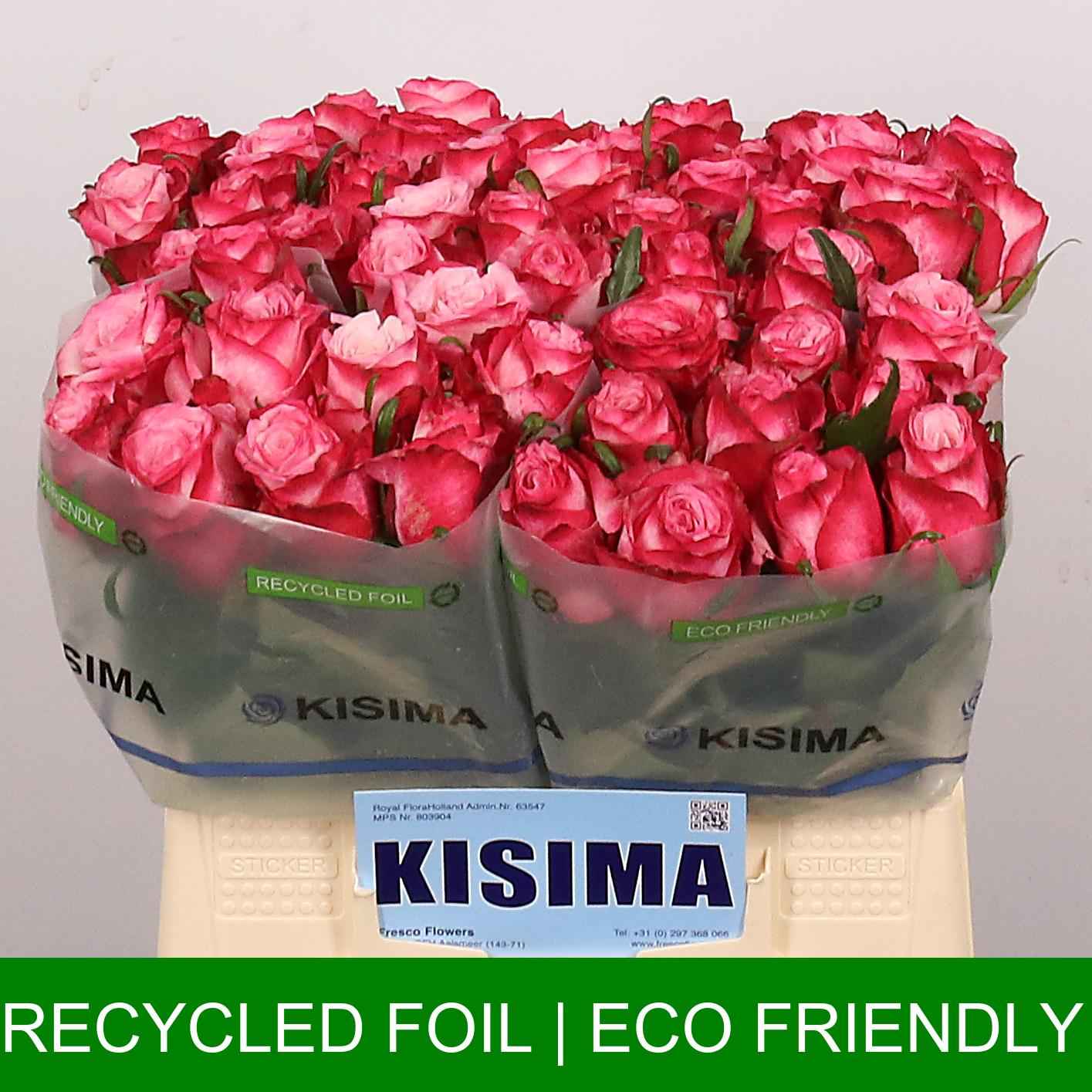 Срезанные цветы оптом Rosa la no limit от 50шт из Голландии с доставкой по России