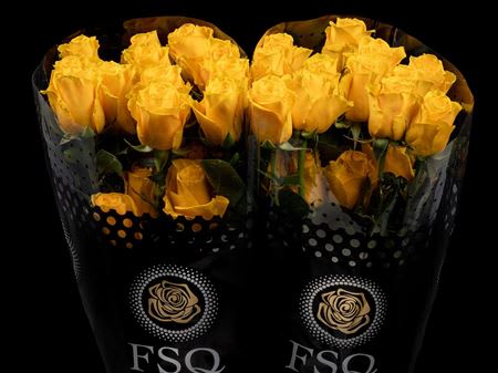 Срезанные цветы оптом Rosa ec impact от 40шт из Голландии с доставкой по России