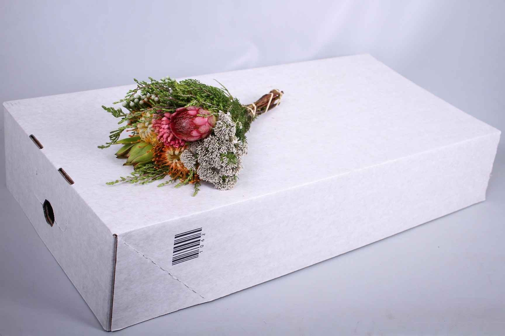 Срезанные цветы оптом Protea bq 3 flower от 3шт из Голландии с доставкой по России