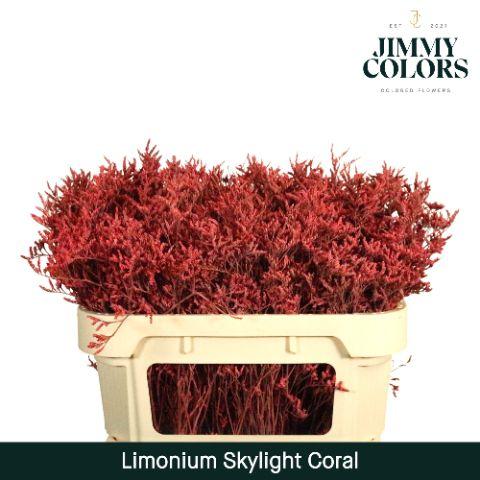 Срезанные цветы оптом Limonium paint coral от 25шт из Голландии с доставкой по России