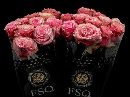 Срезанные цветы оптом Rosa ec wild esperance от 40шт из Голландии с доставкой по России
