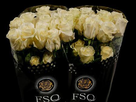 Срезанные цветы оптом Rosa ec first lady от 40шт из Голландии с доставкой по России