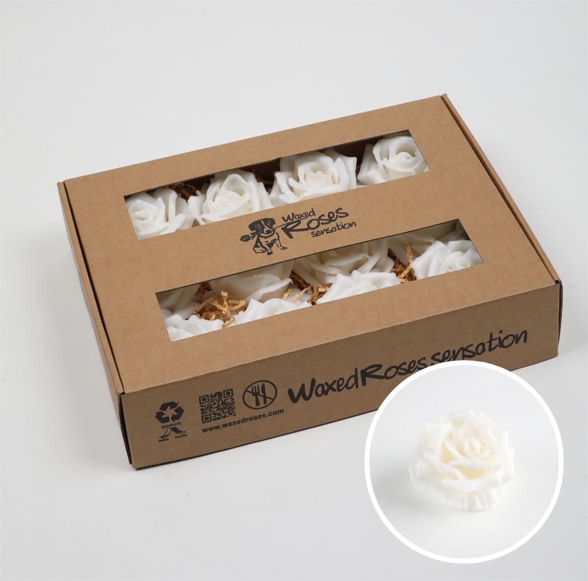 Срезанные цветы оптом Rosa large silk wax white от 12шт из Голландии с доставкой по России