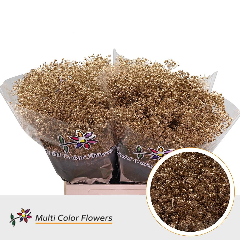 Срезанные цветы оптом Gyps xlence paint antique от 100шт из Голландии с доставкой по России