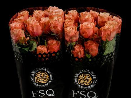 Срезанные цветы оптом Rosa ec kahala A от 40шт из Голландии с доставкой по России