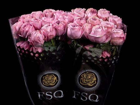 Срезанные цветы оптом Rosa garden peonikiss от 50шт из Голландии с доставкой по России
