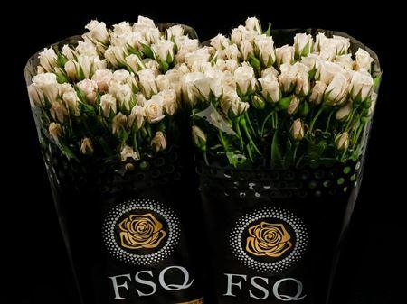 Срезанные цветы оптом Rosa spray garden white majolica от 40шт из Голландии с доставкой по России