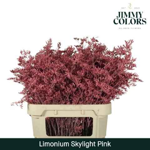 Срезанные цветы оптом Limonium skylight paint pink от 75шт из Голландии с доставкой по России