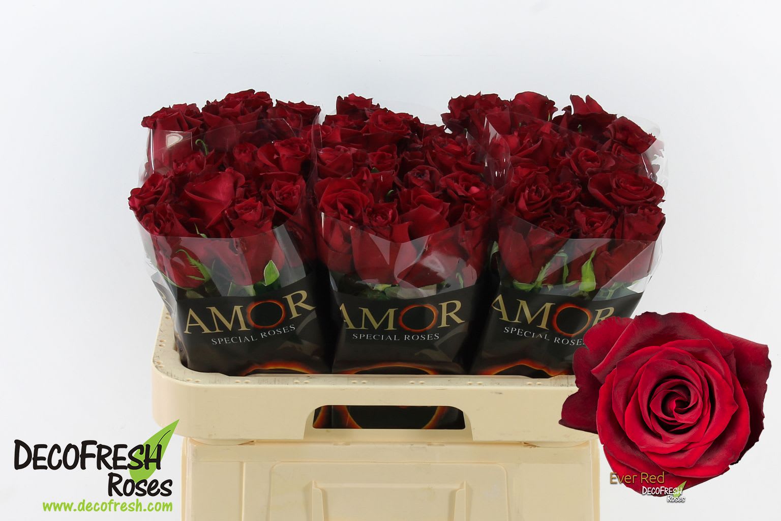 Срезанные цветы оптом Rosa large ever red от 50шт.. из Голландии с доставкой по России